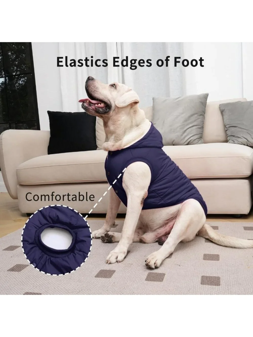 Cozy Winter Dog Jacket with Hoodie for Medium Dogs - Warm & Stylish Pet Coat